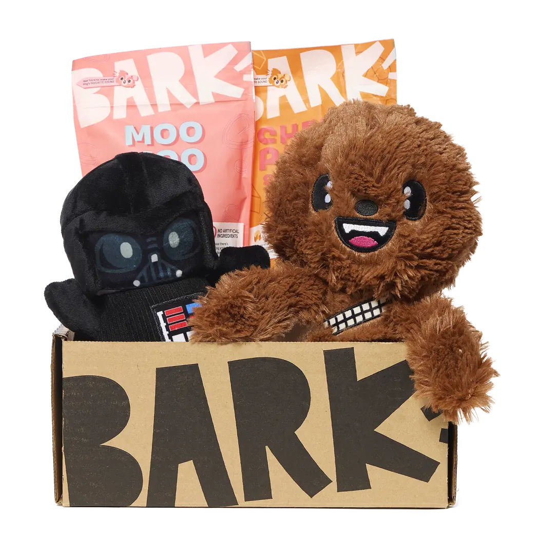 0425-StarWars-BOX_BASE-KIT_LG_0176_f31a2865-6704-4b53-8e7e-6cf494a06cfd