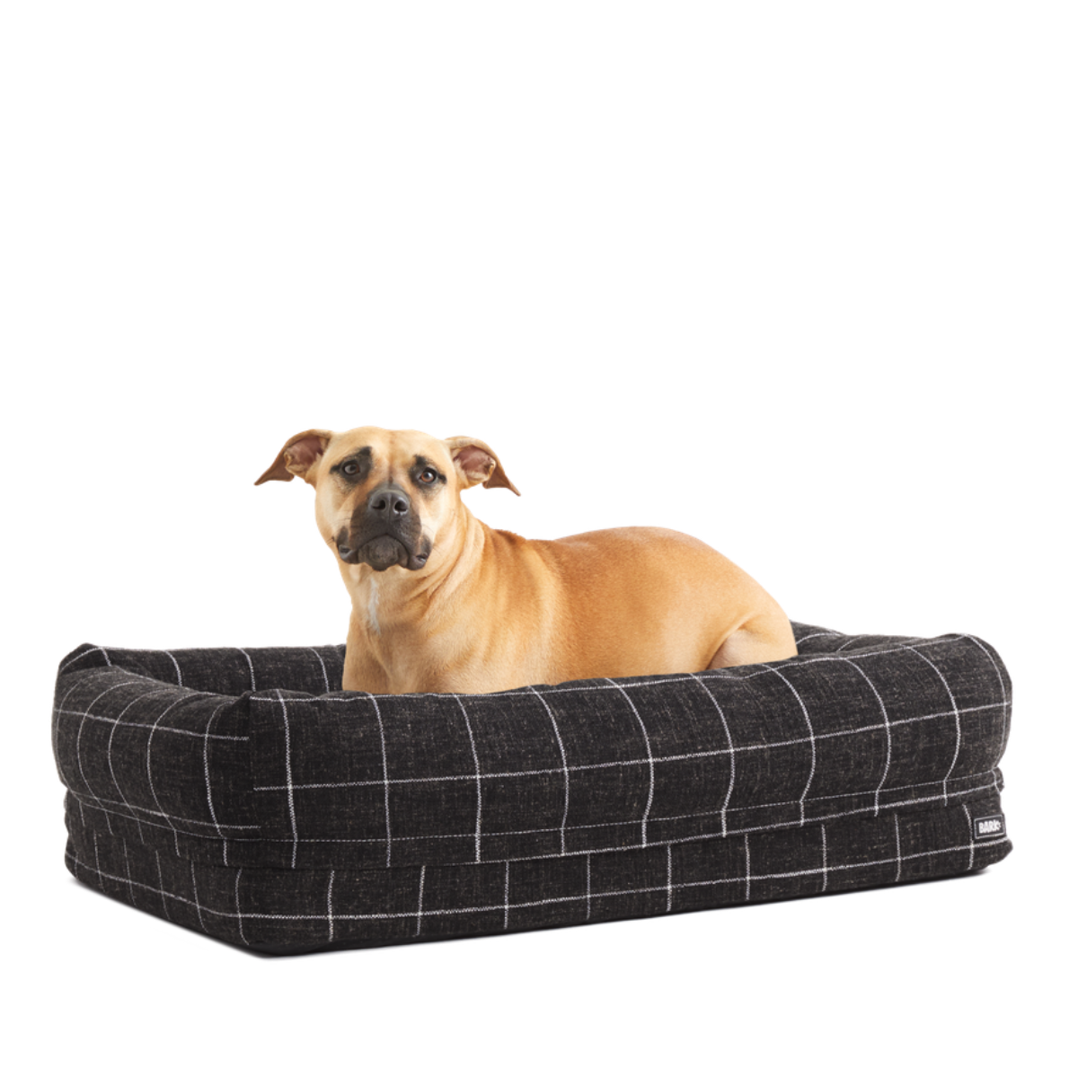 AMAZON_PILLOW-BED_BLACK-WINDOWPANE-MEDIUM_ON-WHITE_PENNY_0213_cropped