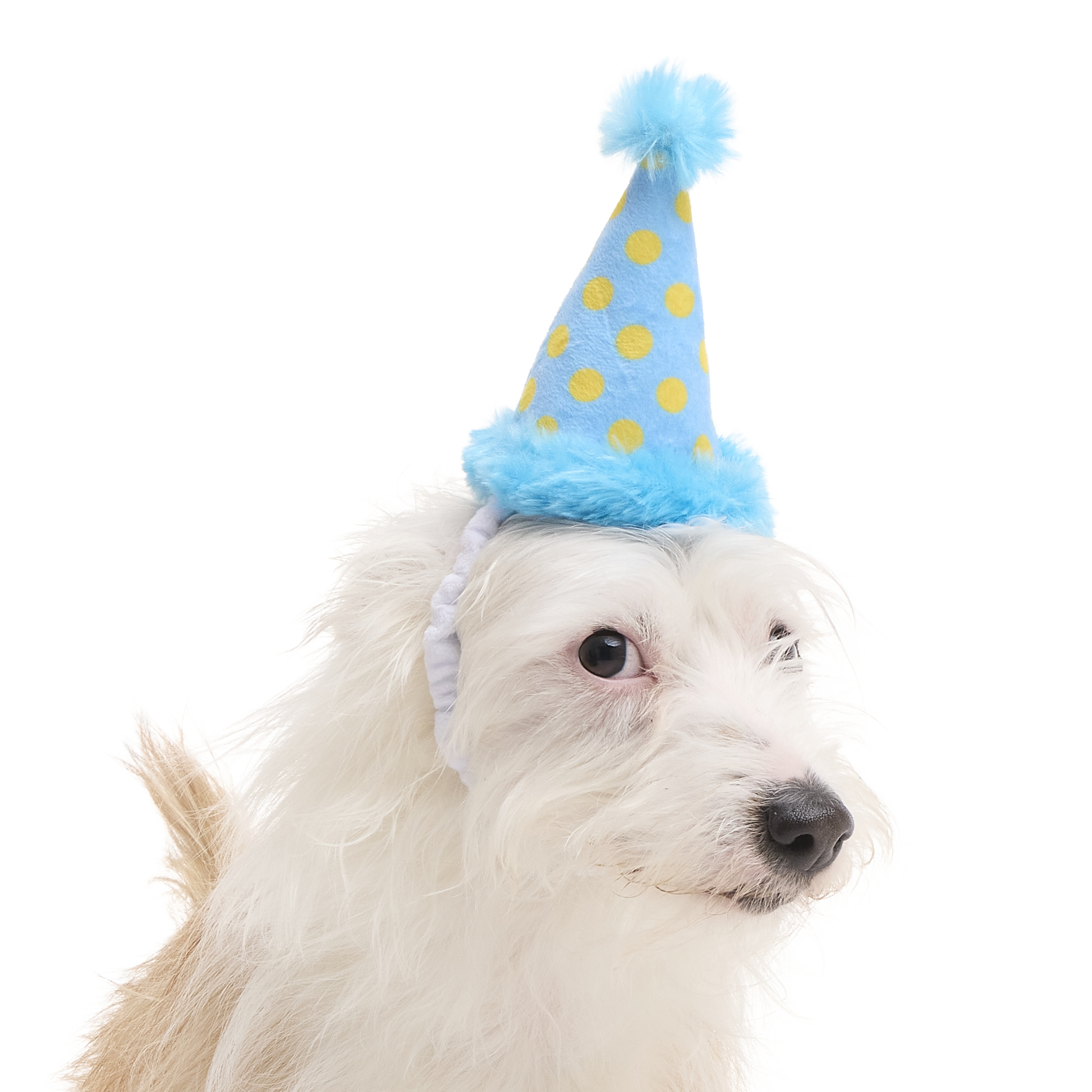 ATB_213407_PARTY-HAT-S_PACO_12600-2373x2373-7594951