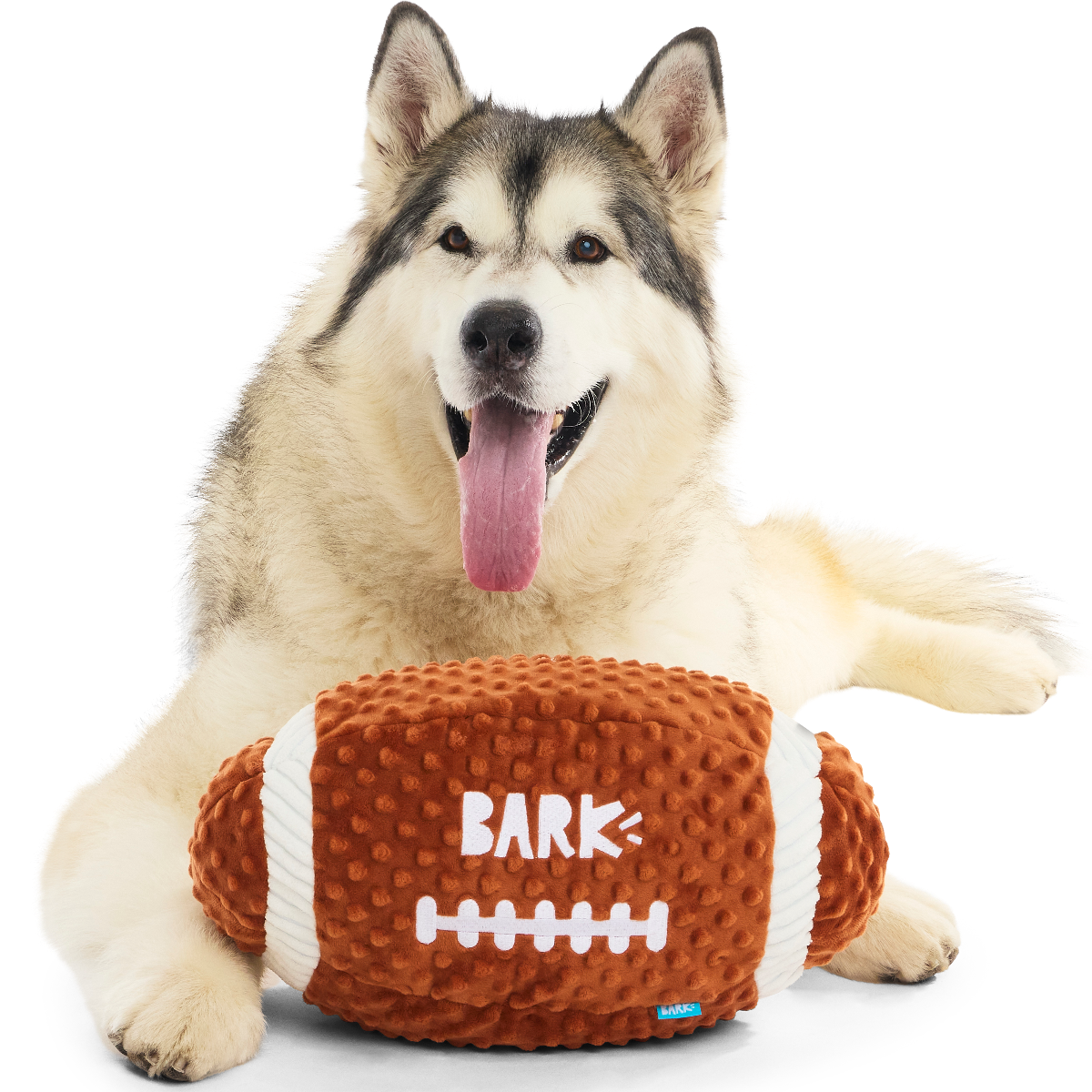 ATB_217799_WIDE-RETRIEVER-XL_RIKKON_34878
