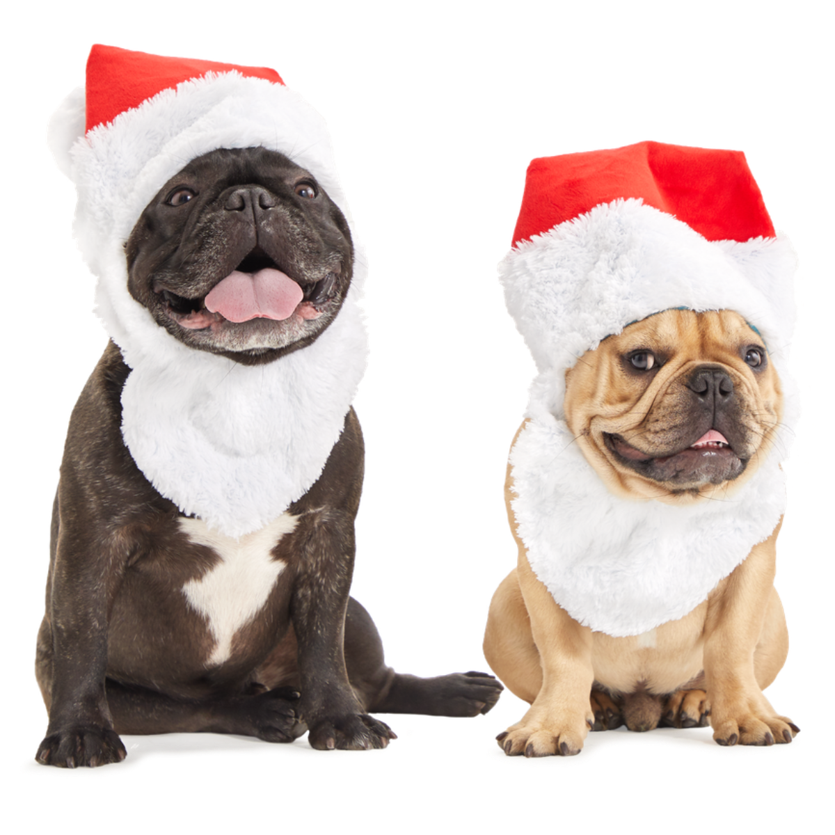ATB_YOSHI-BOWSER_SANTA-HAT_0292_cropped
