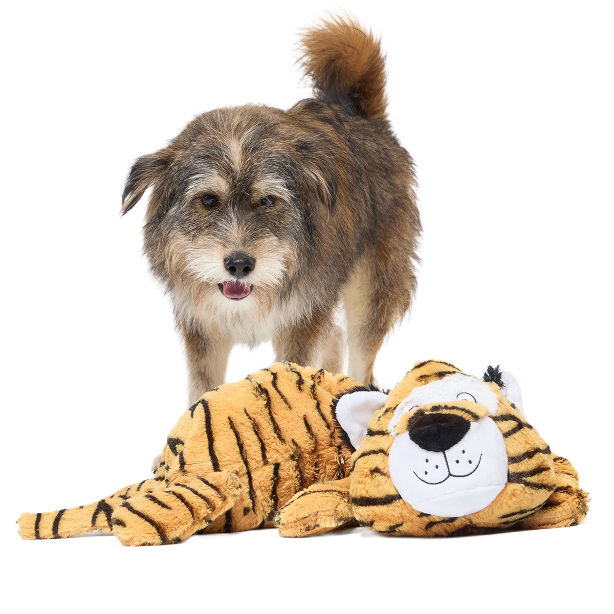 BenjitheBouncingTiger