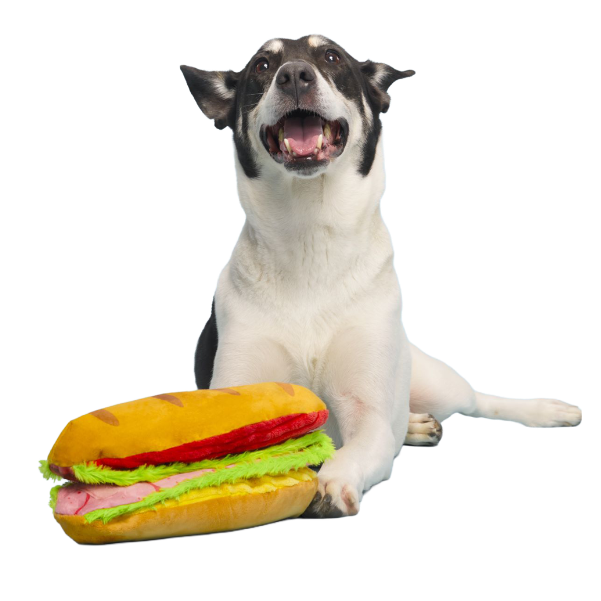 BigBiteHoagie_cropped