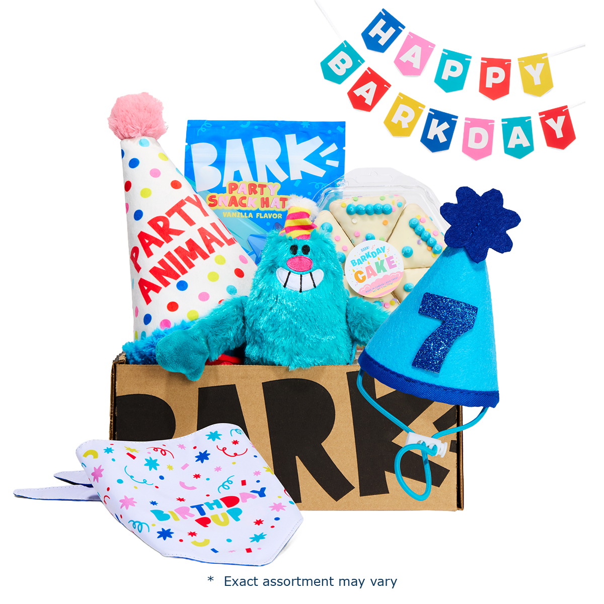 BirthdayPlush
