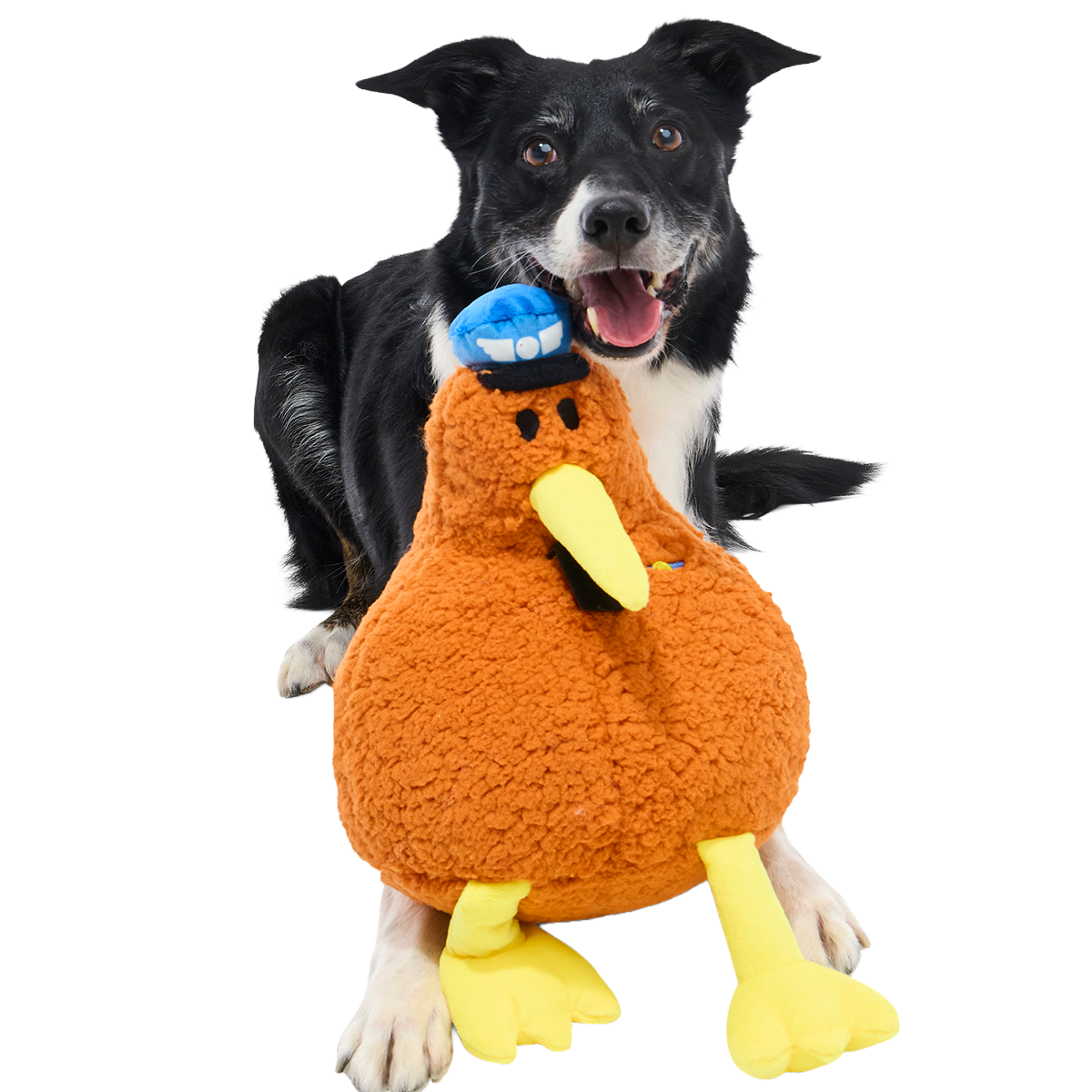Captain_Kiwi