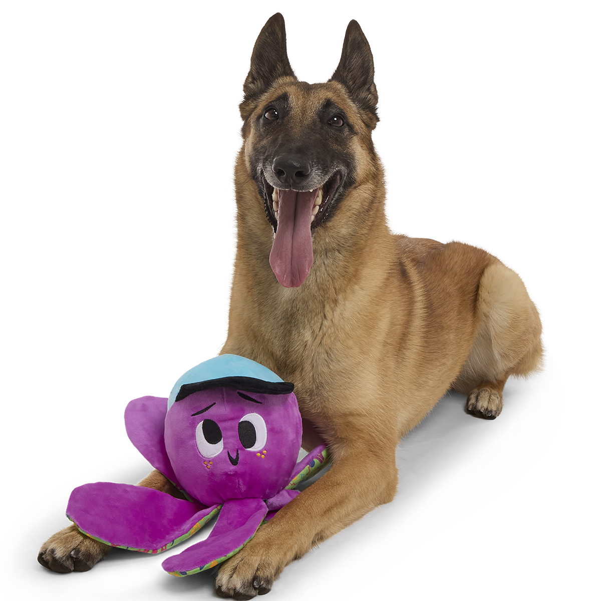 FinalBossOllie2