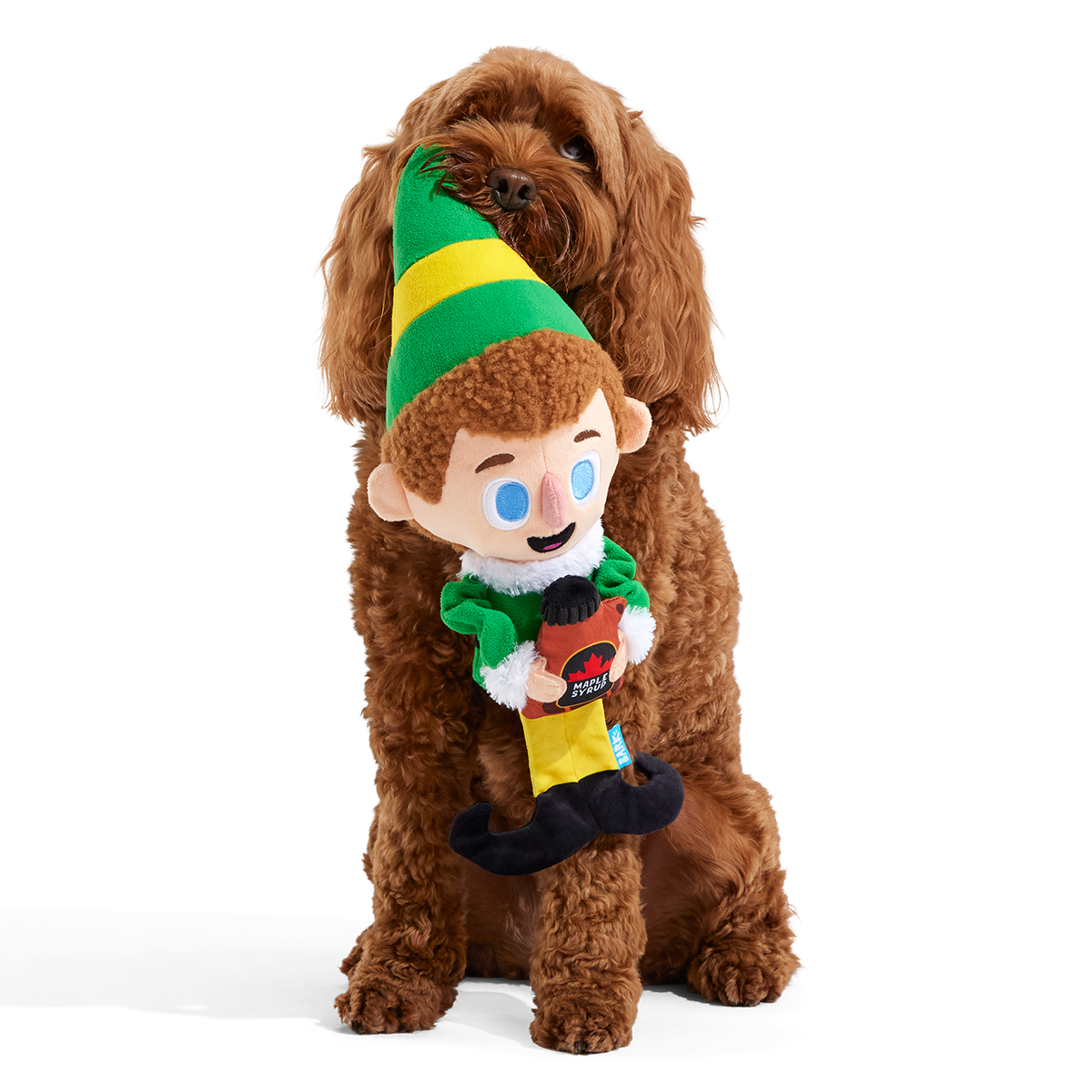 GinormousBuddyTheElf