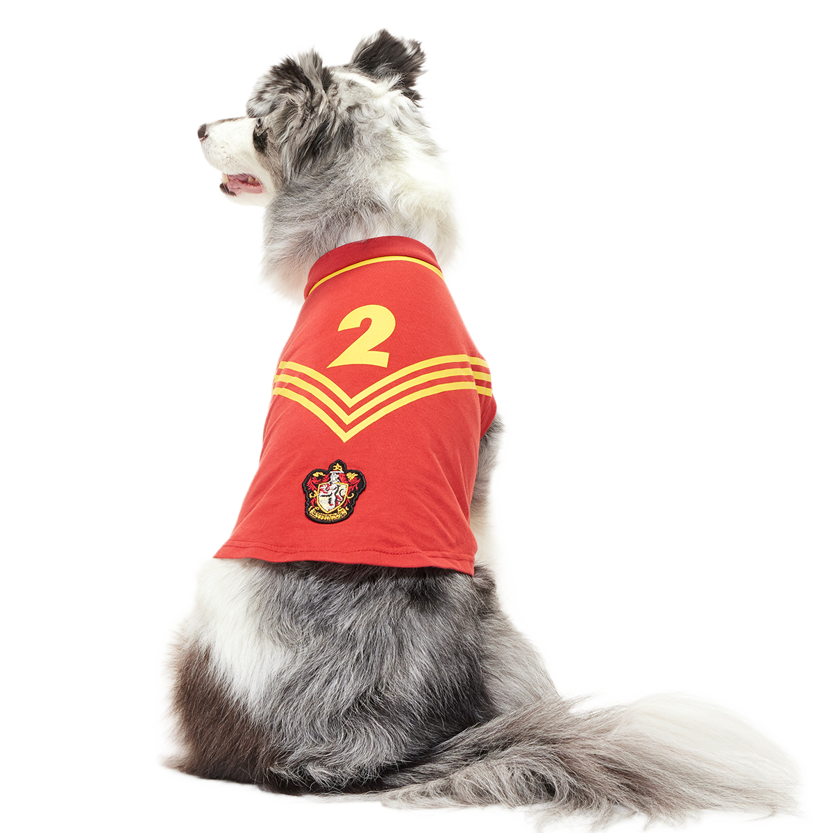 Gryffindor4
