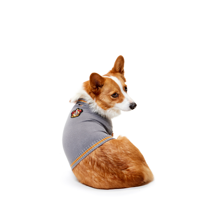 HOME-ATB-GWP_212808_GRYFFINDOR-SWEATER-XS-S_0472-1201x801-83b3acf