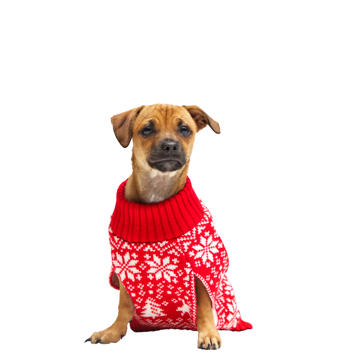 HOME-ATB_211121_REINDEER-SWEATER-L_4137_cropped
