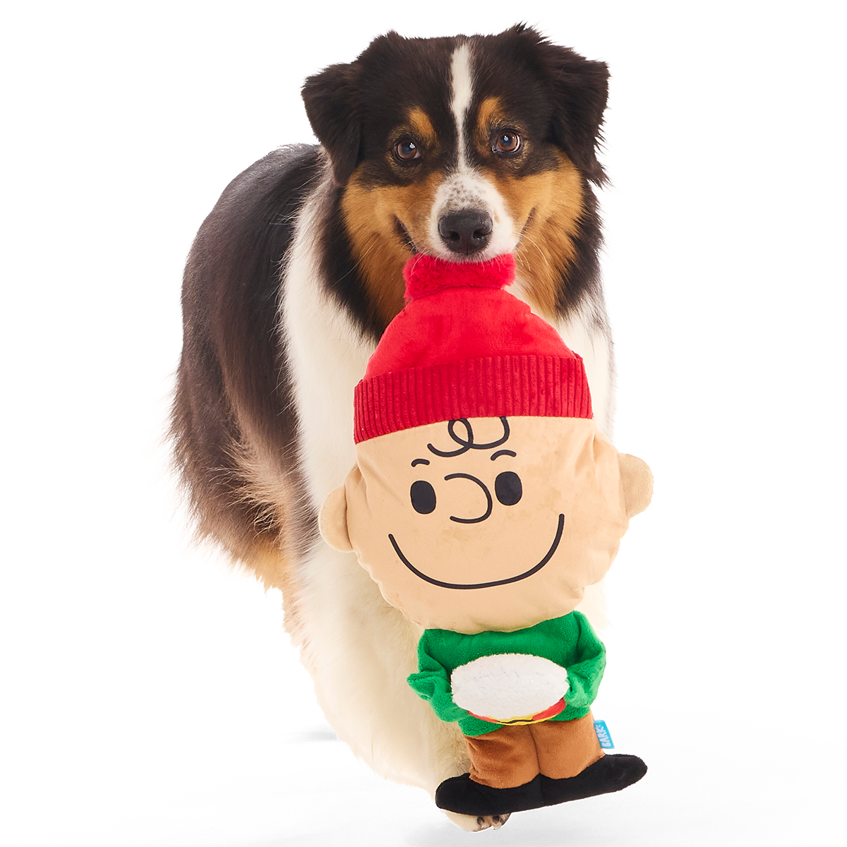 HotChocolateCharlieBrown3