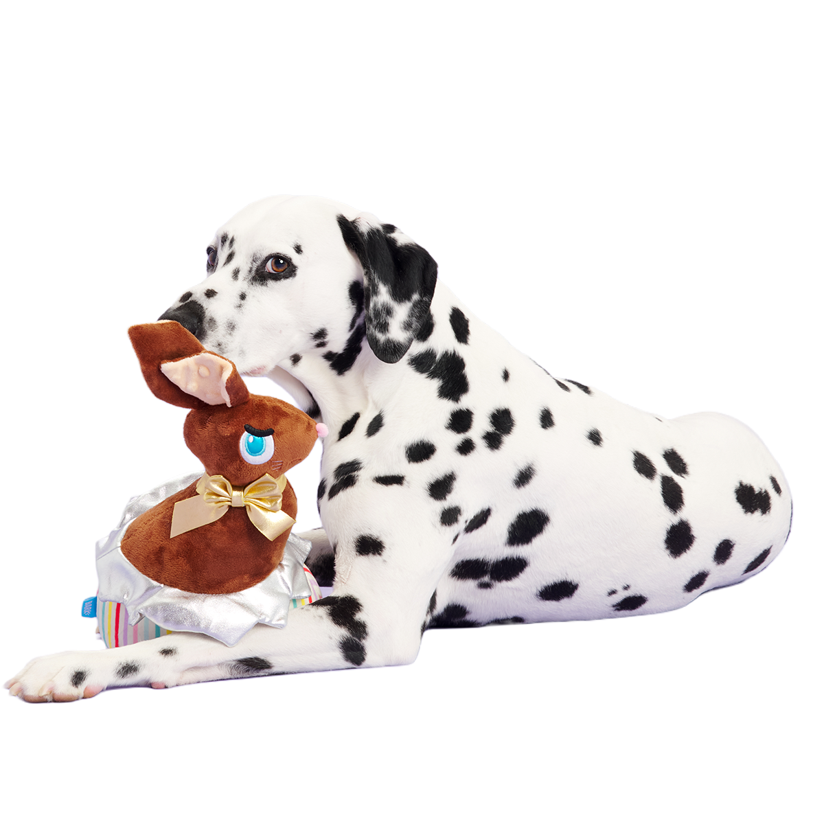 LilBunnyChewChew