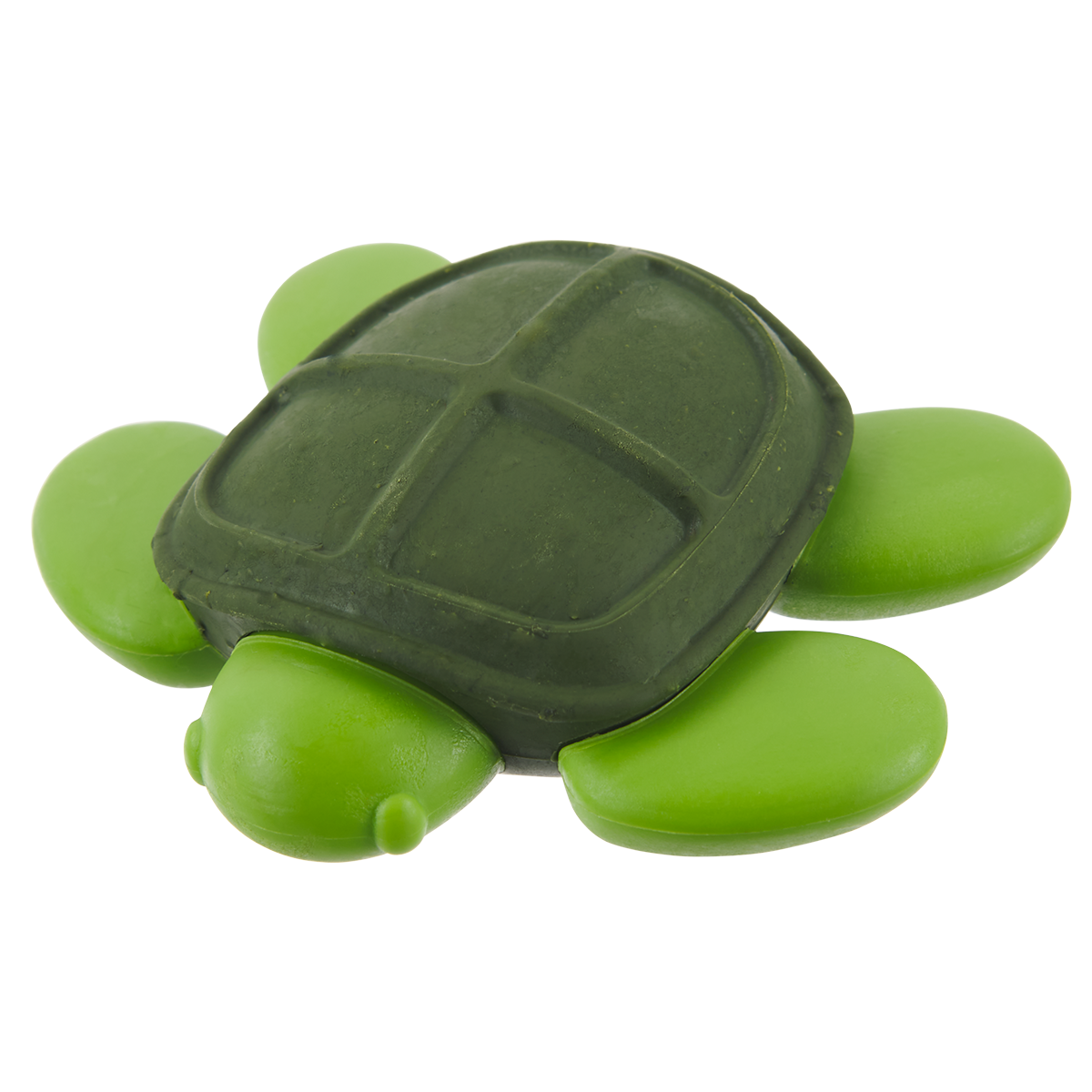 MyrtleSeaTurtle
