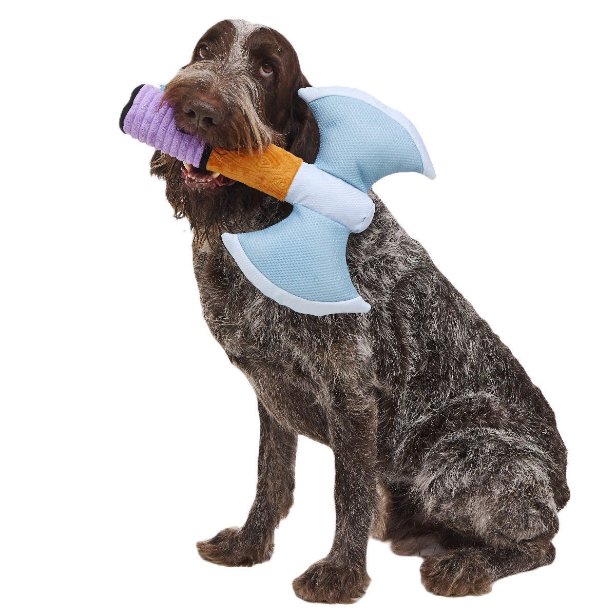 RETAIL-ATB_216919_BIG-AXE-TOY-OSFA__BUGATTI_5985