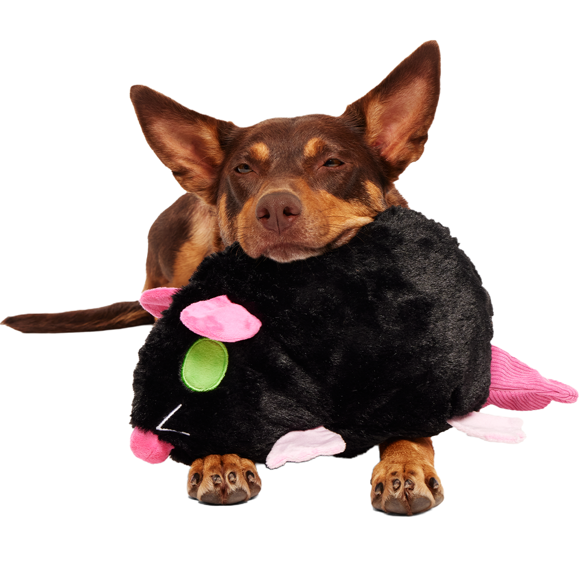 Rat-A-Chewy