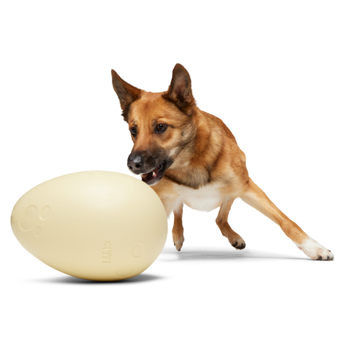 SC-ATB_212307_DINOSAUR-EGG-XL_0428-3000x2001-b01b4a6