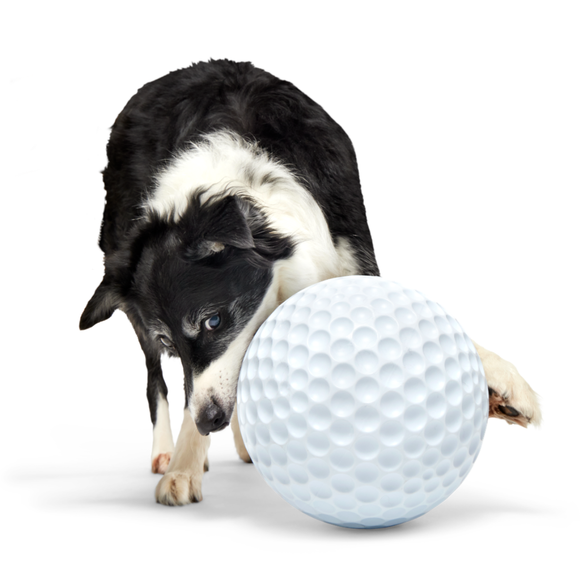SC-ATB_215762_BIG-SWING-GOLF-BALL-XL_GUMBALL_2461_cropped