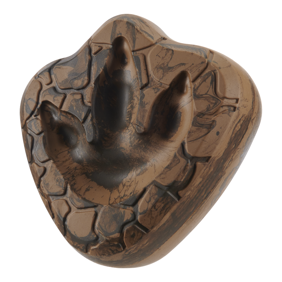 SC_212279_DINO-FOSSIL-CHEW-L_GRID_0008_cropped