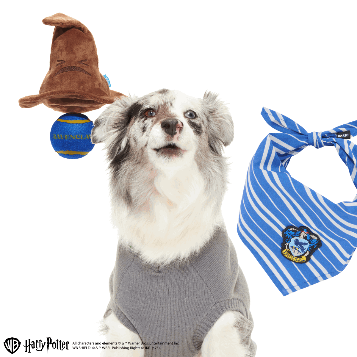 atb-hp-housebundles-ravenclaw-L-pdp1