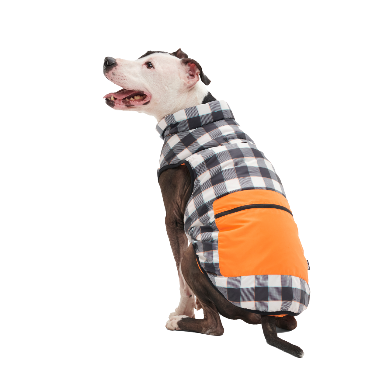 background_removed_jacket