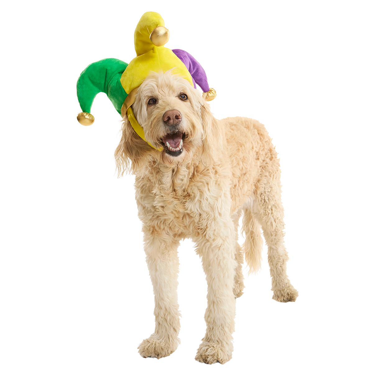 fat-chewsday-hat