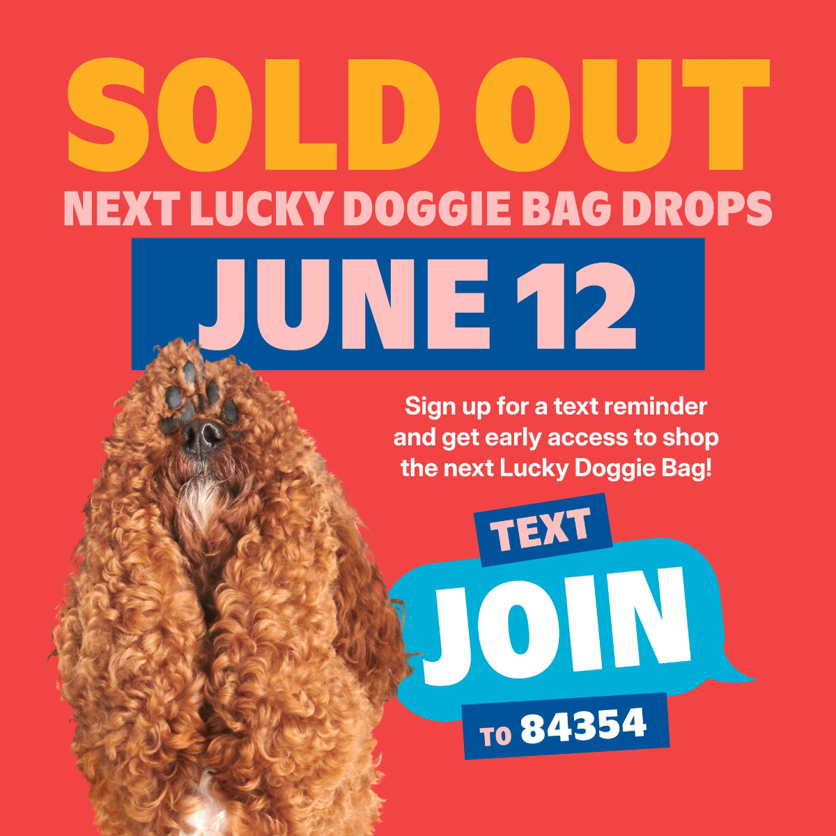ldb-26may-site-pdp-5-soldout_1