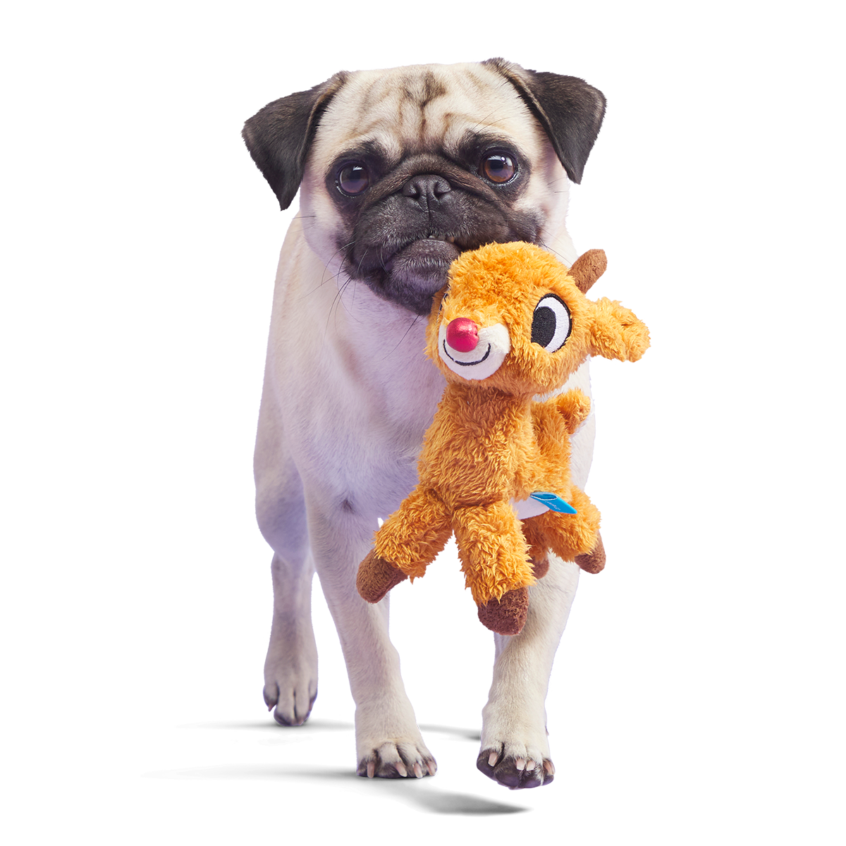 runninrudolphdogtoy