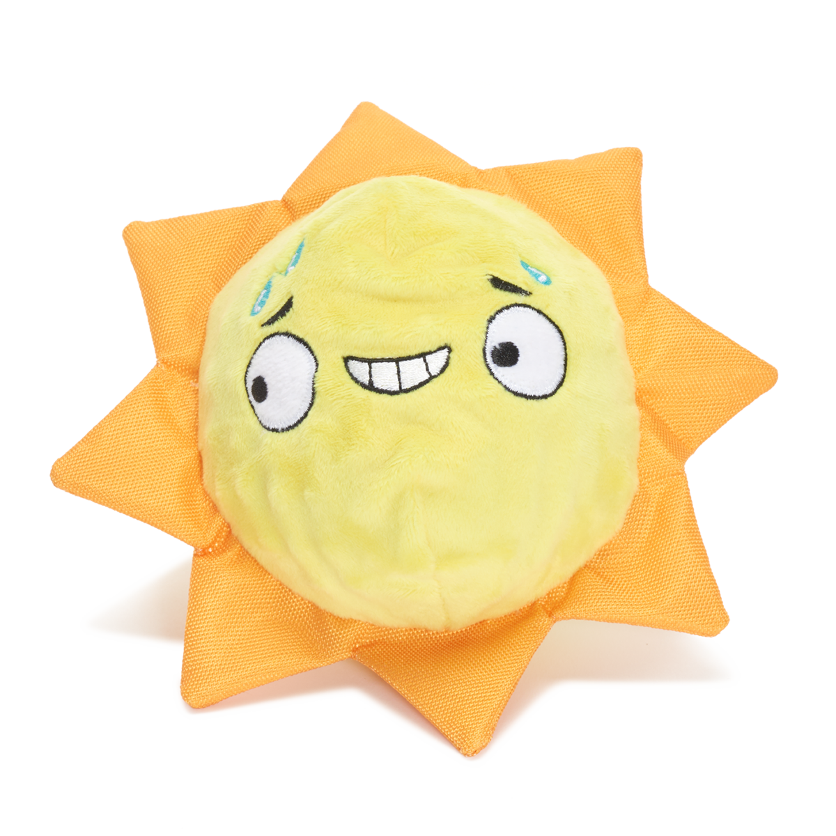 sunnyboy1